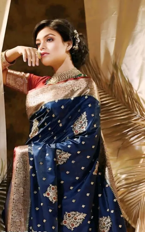 Banarasi Silk Sarees in Navy Blue with Embroidery